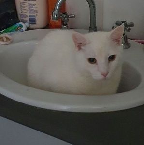 Meet your Posher, Kerry